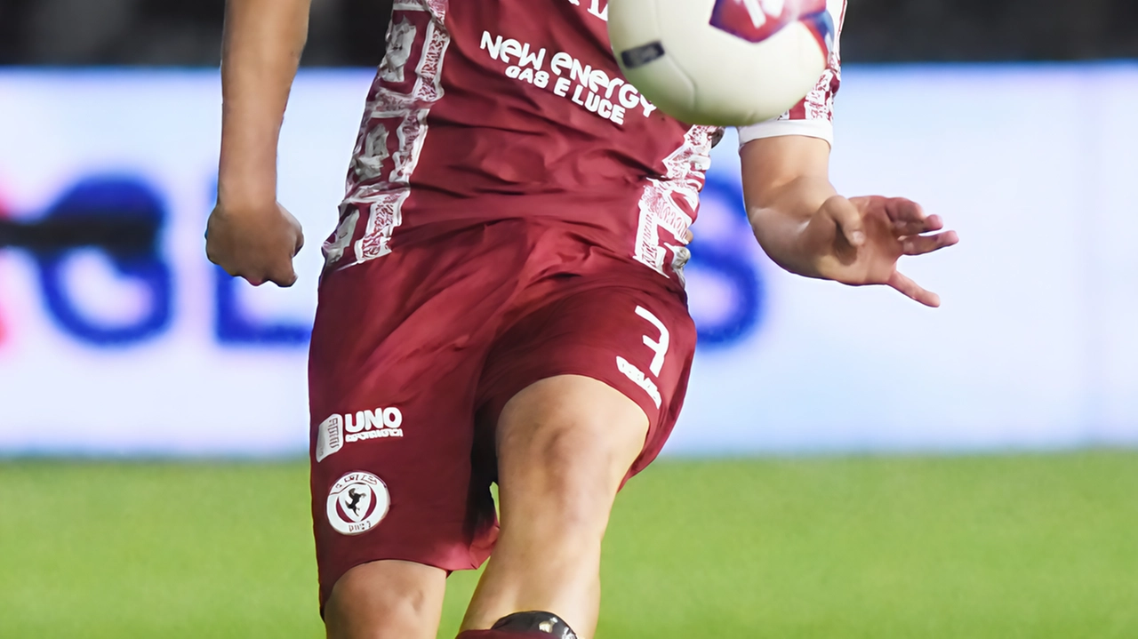 Filippo Guccione. , ala destra dell’Arezzo Filippo Guccione. , ala destra dell’Arezzo