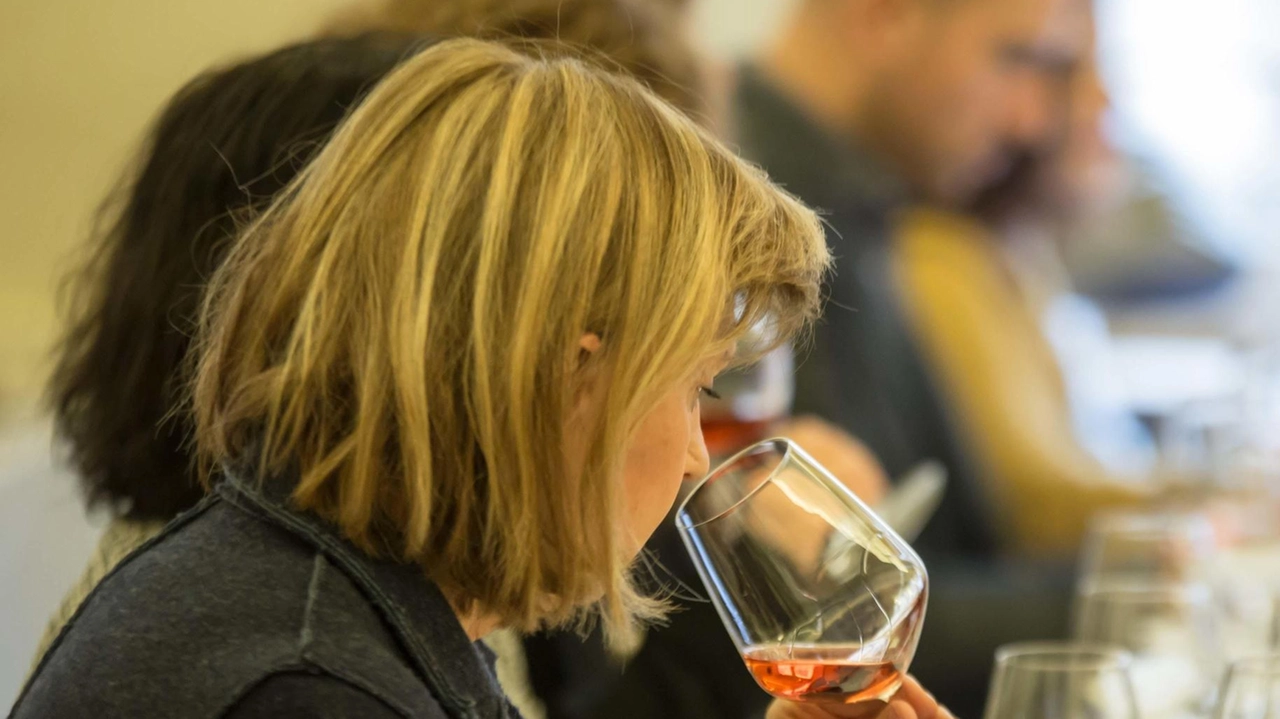 "AsSaggi di Vino" domani incontra la geologia, aspettando Wine&Siena. Ancora due date nel mese di gennaio per degustare i... "AsSaggi di Vino" domani incontra la geologia, aspettando Wine&Siena. Ancora due date nel mese di gennaio per degustare i...