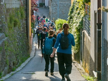 immagine articolo
