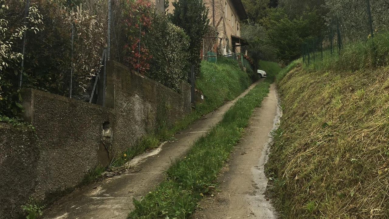 Via dell’Impietrato è stata recuperata. Ma la minoranza ha criticato il tipo di riqualificazione. La risposta del Comune Via dell’Impietrato è stata recuperata. Ma la minoranza ha criticato il tipo di riqualificazione. La risposta del Comune