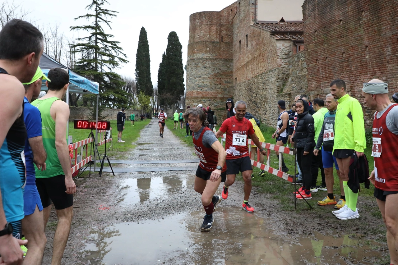 immagine di sfondo 14