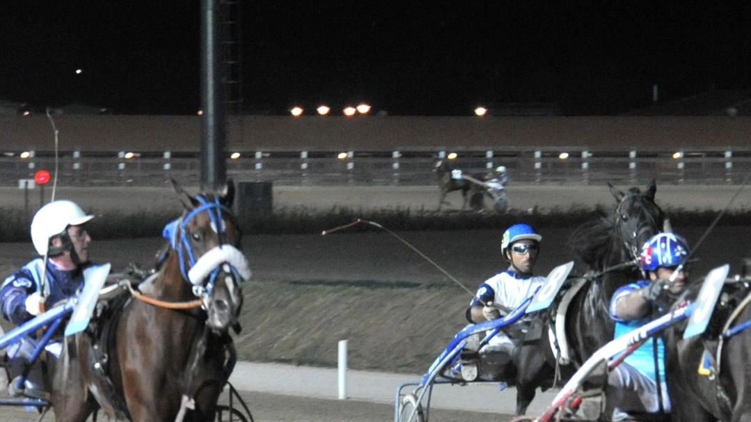 Una corsa all’ippodromo dei Pini Una corsa all’ippodromo dei Pini