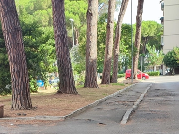 immagine articolo
