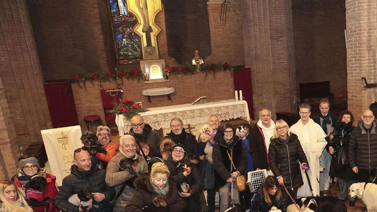 Alcuni momenti della benedizione degli animali che si svolge ogni anno in San Domenico Alcuni momenti della benedizione degli animali che si svolge ogni anno in San Domenico