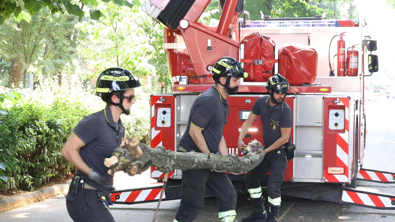 Smantellata una rete criminale violenta con metodi da manuale mafioso. Sei arresti fra i clan della criminalità cinese attiva nel distretto di Prato. L’episodio chiave fu proprio quanto accadde a ottobre di fronte a un albergo. Smantellata una rete criminale violenta con metodi da manuale mafioso. Sei arresti fra i clan della criminalità cinese attiva nel distretto di Prato. L’episodio chiave fu proprio quanto accadde a ottobre di fronte a un albergo.