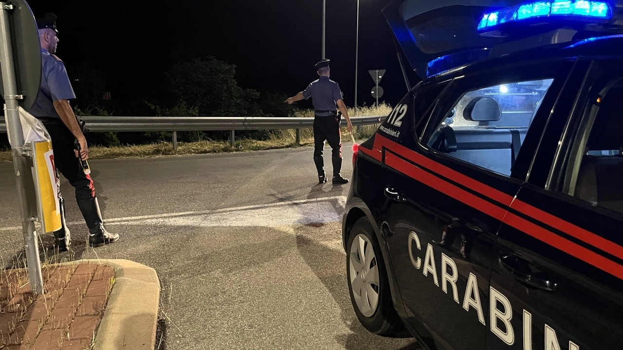 Carabinieri in azione Carabinieri in azione