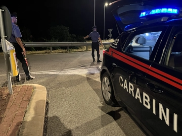 immagine articolo