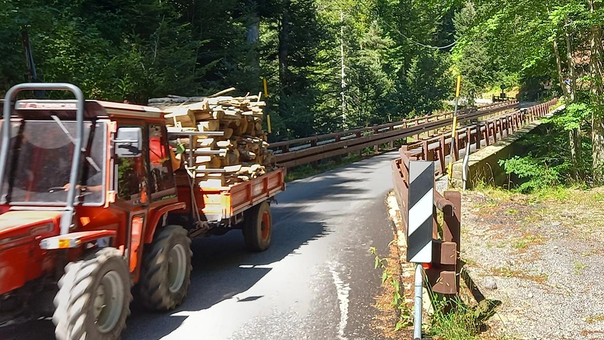 Il ponte dei Mandrini: l’inizio dei lavori era stato annunciato per il 19 maggio scorso, ma per il momento il cantiere della Provincia non è stato aperto Il ponte dei Mandrini: l’inizio dei lavori era stato annunciato per il 19 maggio scorso, ma per il momento il cantiere della Provincia non è stato aperto