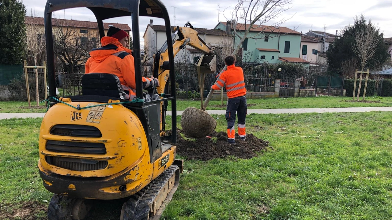 Prosegue la riqualificazione di tutta l’area a verde del quartiere di Bonelle 80 Prosegue la riqualificazione di tutta l’area a verde del quartiere di Bonelle 80