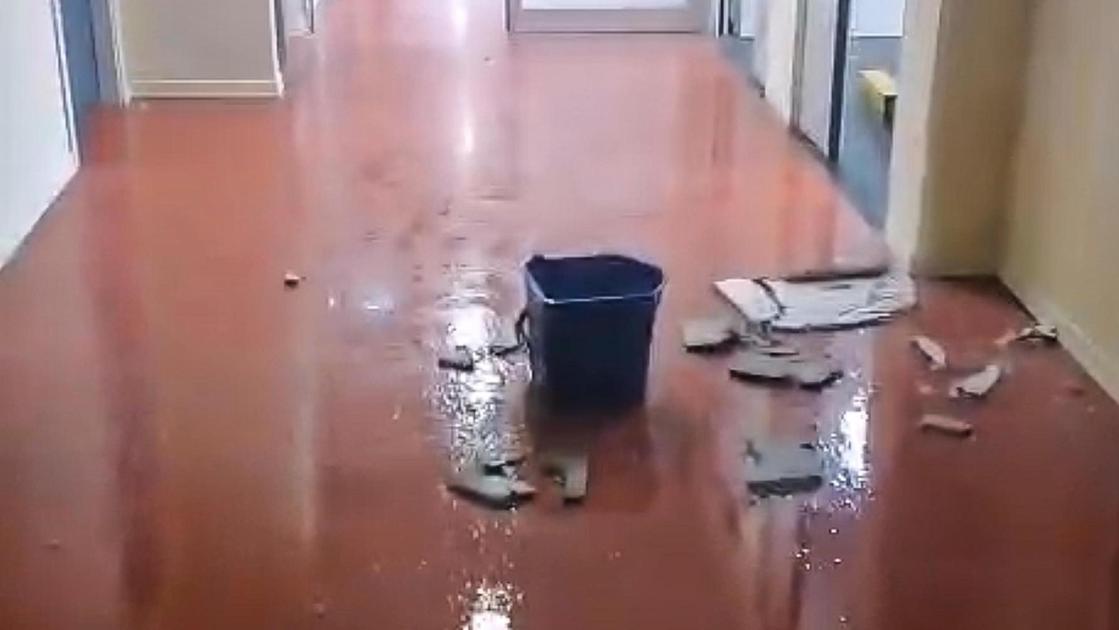https://www.lanazione.it/image-service/view/acePublic/alias/contentid/MTVlZmEwZWQtODIxZi00/0/studentato-fermi-allagato-stabile-sicuro-e-a-norma.jpeg?f=16:9&w=1200&h=630