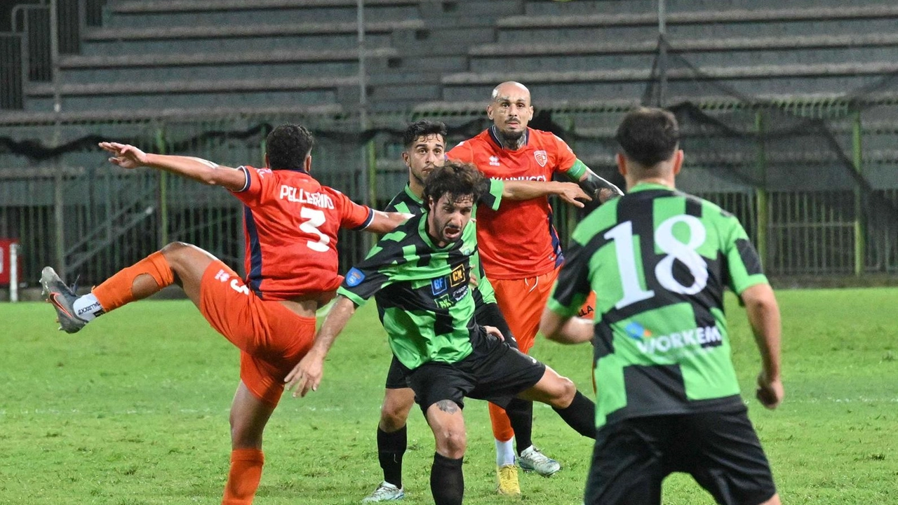 Tuttocuoio in azione in una foto d’archivio