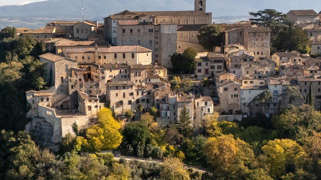 Soddisfazione del sindaco Antonino Ruggiano: «Sono risultati eccezionali. Un trend che conferma l’aumentata visibilità e capacità di attrazione» Soddisfazione del sindaco Antonino Ruggiano: «Sono risultati eccezionali. Un trend che conferma l’aumentata visibilità e capacità di attrazione»