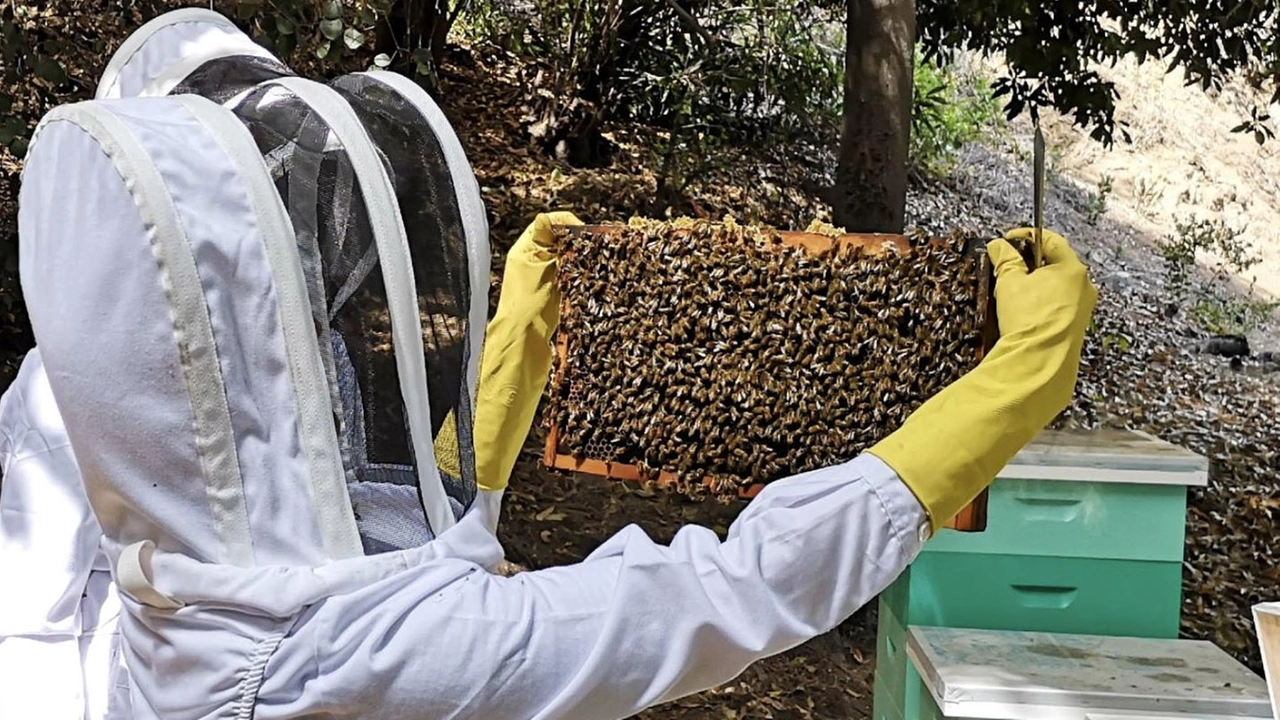 È un appuntamento importante quello che apre l’edizione 2024 di Dolce Vernio. Stasera alle 21 al Meucci va in scena,... È un appuntamento importante quello che apre l’edizione 2024 di Dolce Vernio. Stasera alle 21 al Meucci va in scena,...