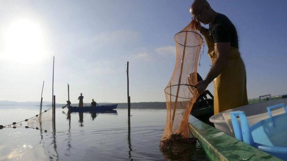 Lo stato di salute della laguna è fondamentale anche per le attività produttive Lo stato di salute della laguna è fondamentale anche per le attività produttive