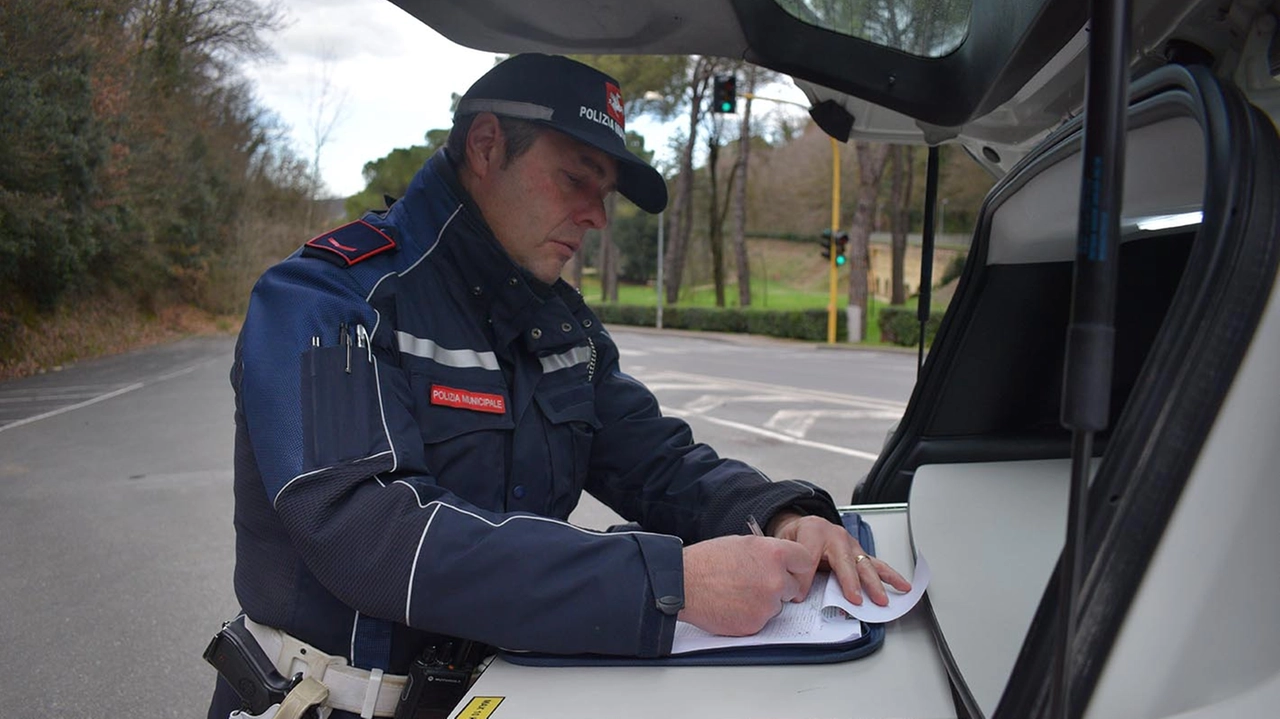 Vigili Vigili