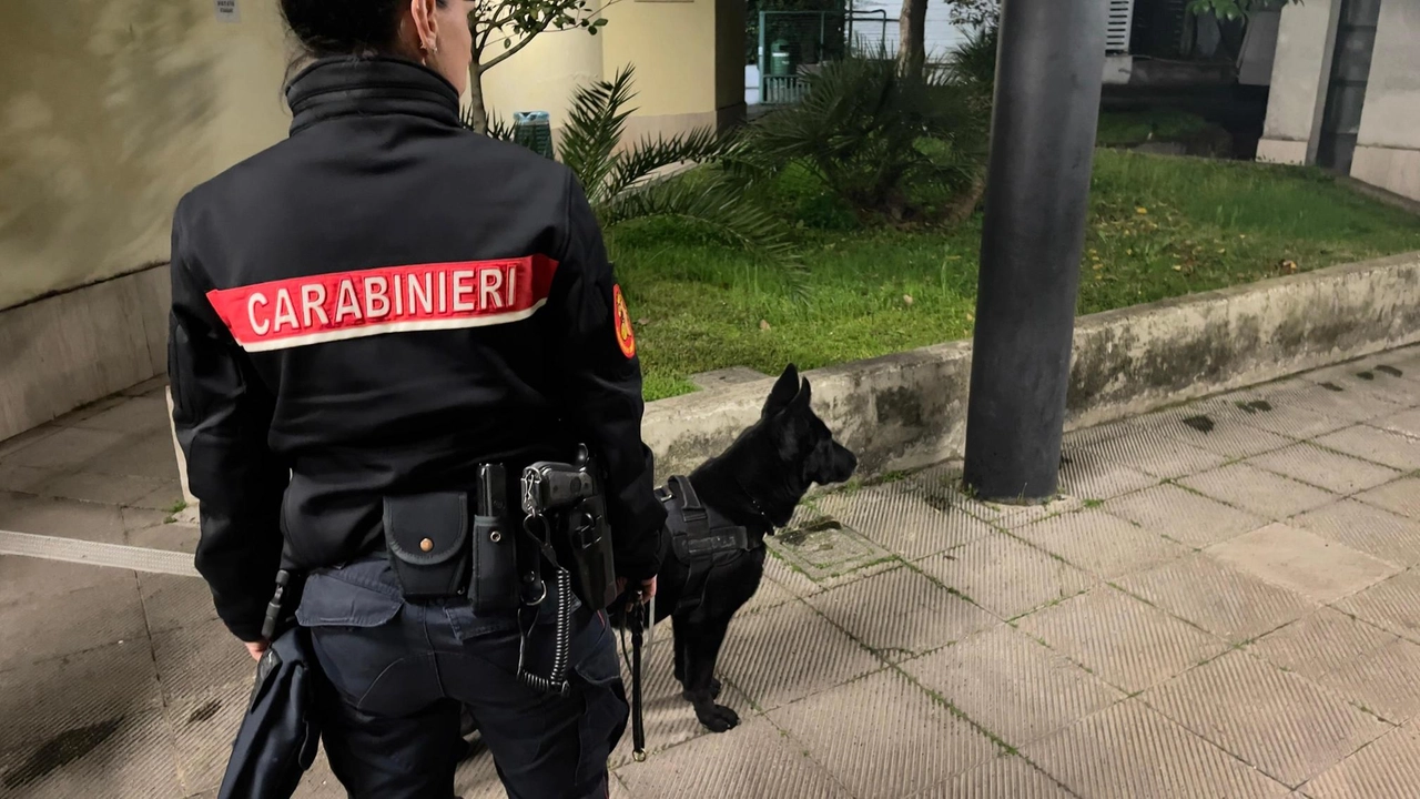 Intervento di artificieri e unità antiterrorismo dei carabinieri