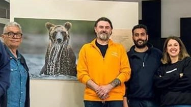 Orsi grizzly, aquile, ragnatele di luce e molto altro. Queste alcune delle immagini potenti e poetiche realizzate dal fotografo naturalista... Orsi grizzly, aquile, ragnatele di luce e molto altro. Queste alcune delle immagini potenti e poetiche realizzate dal fotografo naturalista...