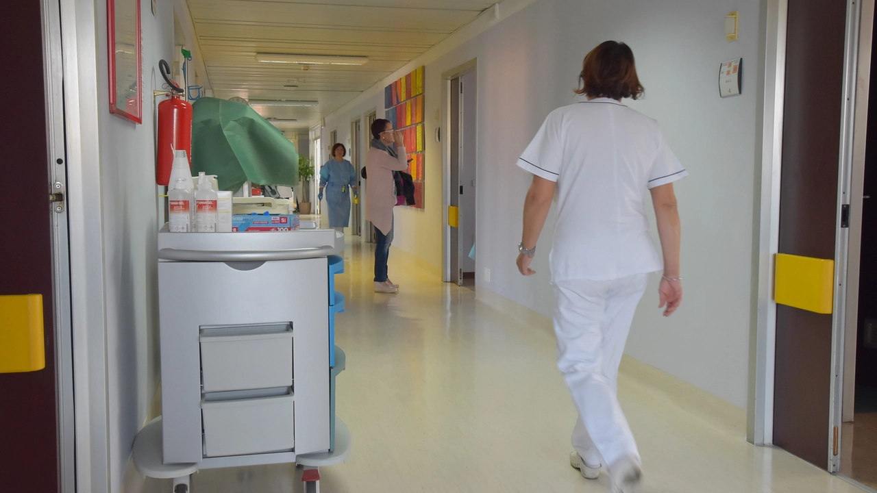 Nel distretto sanitario viareggino un blackout ha provocato la sospensione di visite ed esami (Foto di repertorio) Nel distretto sanitario viareggino un blackout ha provocato la sospensione di visite ed esami (Foto di repertorio)