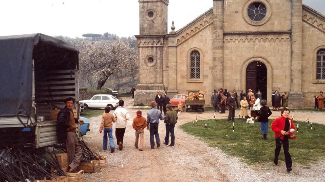 Appuntamento con la tradizione. Tutto pronto per la ’Festa della Pina’. Tra rametti verdi e zuccherini