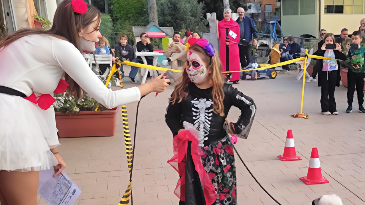 Il Centro Cinofilo Newfoundly Aics organizza la quarta edizione dell'"Halloween Dog Show" a Bagno di Gavorrano. Una sfilata canina a tema Halloween con premi per i travestimenti più originali. Il Centro Cinofilo Newfoundly Aics organizza la quarta edizione dell'"Halloween Dog Show" a Bagno di Gavorrano. Una sfilata canina a tema Halloween con premi per i travestimenti più originali.