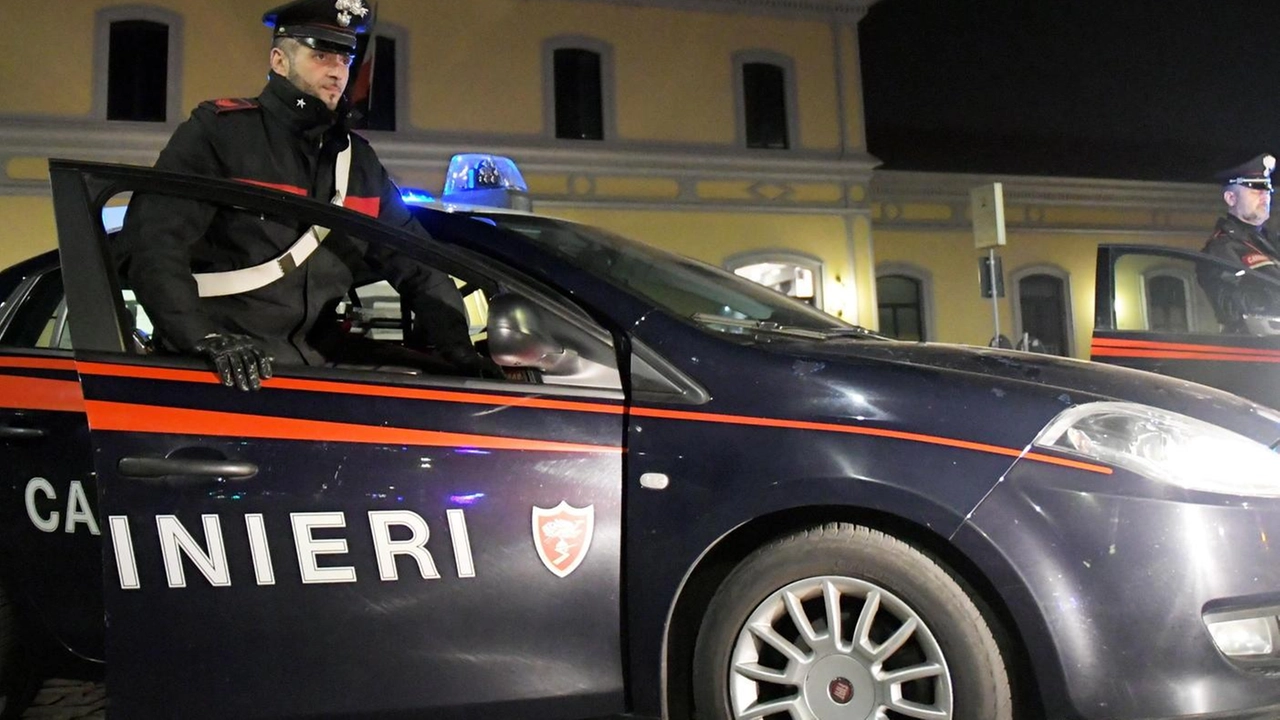 I carabinieri sono intervenuti per arrestare uno dei ladri fermati dal proprietario I carabinieri sono intervenuti per arrestare uno dei ladri fermati dal proprietario