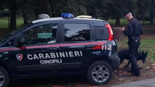 I carabinieri della Compagnia di Viareggio durante l’attività di controllo in pineta I carabinieri della Compagnia di Viareggio durante l’attività di controllo in pineta