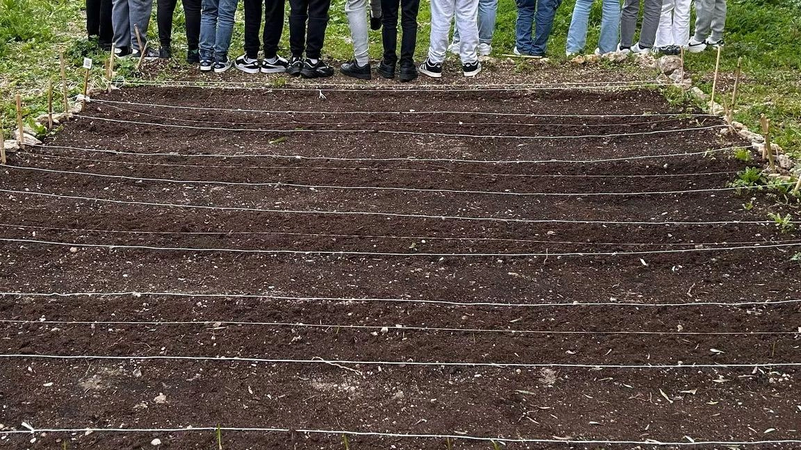 Gli studenti e il loro personalissimo orto