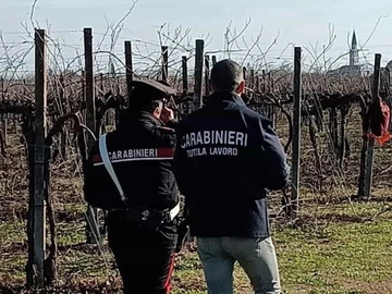 immagine articolo