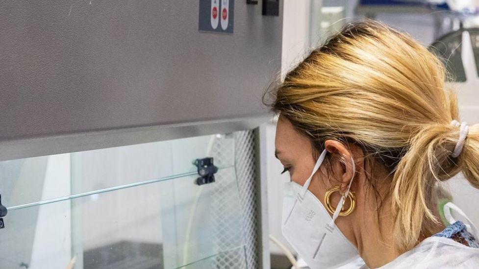 La febbre del Nilo: "I casi gravi in ospedale solo la punta dell’iceberg" La febbre del Nilo: "I casi gravi in ospedale solo la punta dell’iceberg"