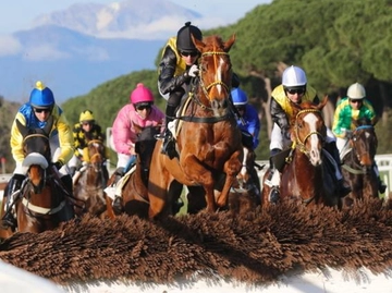 immagine articolo