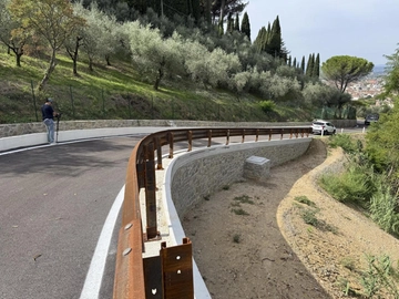 immagine articolo