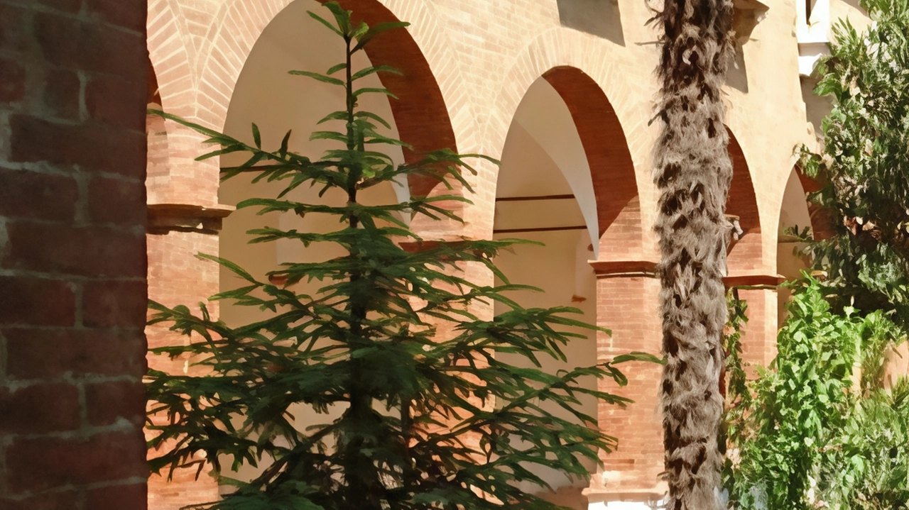 L’annuncio venerdì ai rappresentanti: da gennaio il trasferimento. Nessuna anticipazione sulla struttura temporanea per le sette classi. L’annuncio venerdì ai rappresentanti: da gennaio il trasferimento. Nessuna anticipazione sulla struttura temporanea per le sette classi.