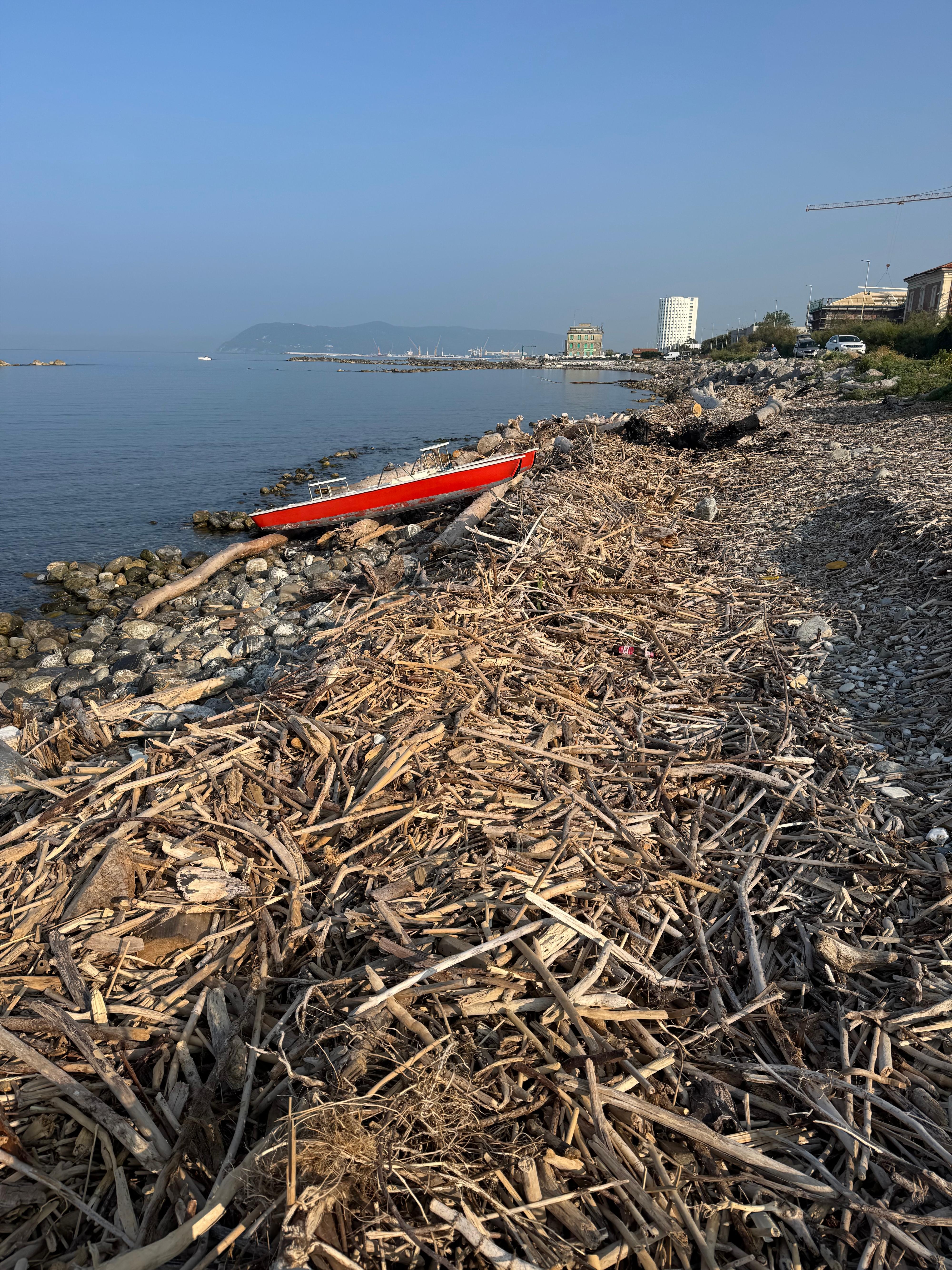 Ricortola, spiaggia deturpata. Zaccagna: “Legname e rifiuti, una situazione inaccettabile” Ricortola, spiaggia deturpata. Zaccagna: “Legname e rifiuti, una situazione inaccettabile”