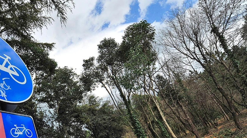 Caldo, Prato contro le 'isole di calore' pianta 713 alberi