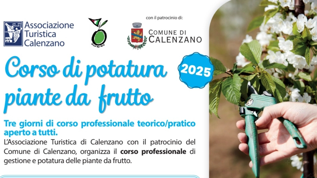 La locandina La locandina