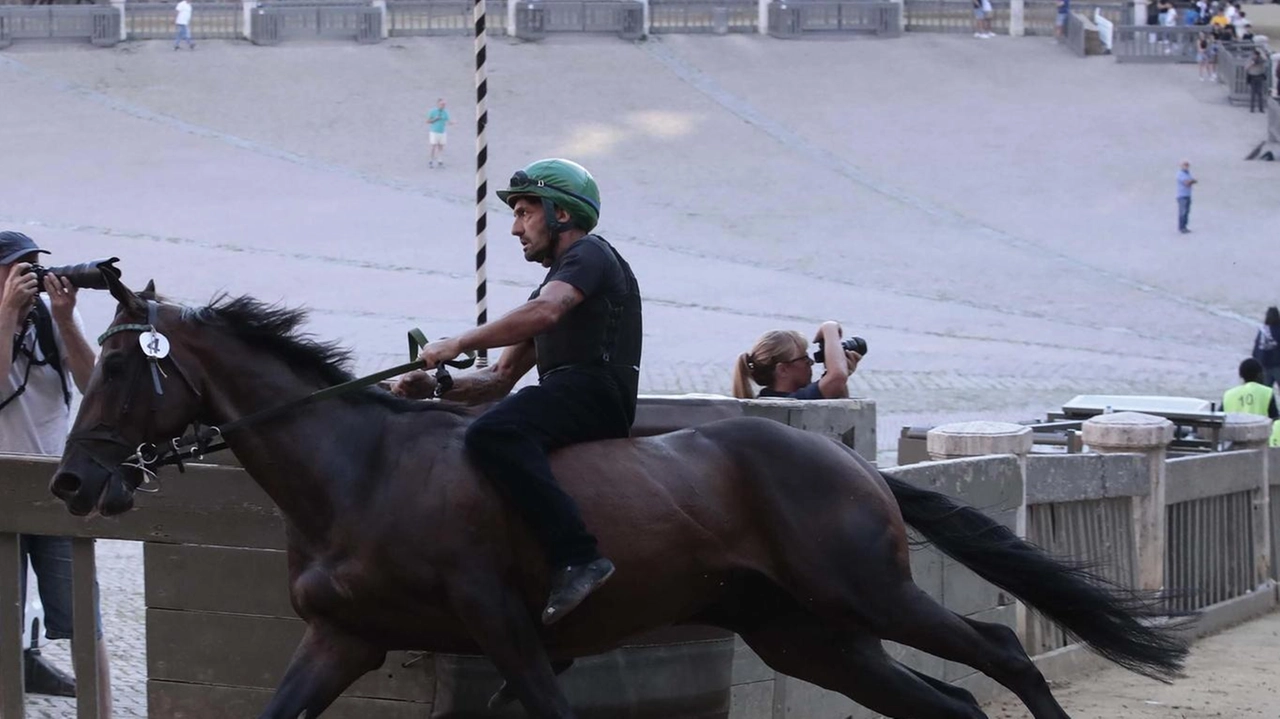 Carburo ha deciso di vendere un cavallo a cui era molto affezionato, Vankook, il giorno dopo la previsita (nella foto ieri nelle prove all’alba con un altro cavallo) Carburo ha deciso di vendere un cavallo a cui era molto affezionato, Vankook, il giorno dopo la previsita (nella foto ieri nelle prove all’alba con un altro cavallo)