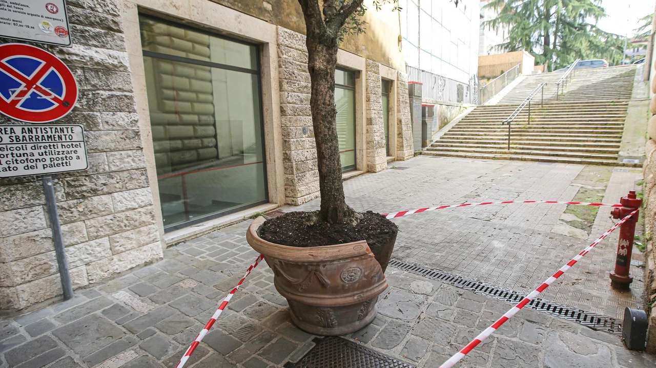 La scalinata Grecchi, diventerà anche messaggera di pace La scalinata Grecchi, diventerà anche messaggera di pace