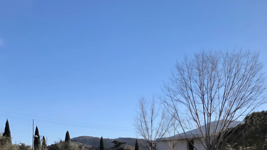 Le Cascine di Firenze come i Renai di Signa La zona delle Cascine potrebbe essere un ottimo punto di partenza... Le Cascine di Firenze come i Renai di Signa La zona delle Cascine potrebbe essere un ottimo punto di partenza...