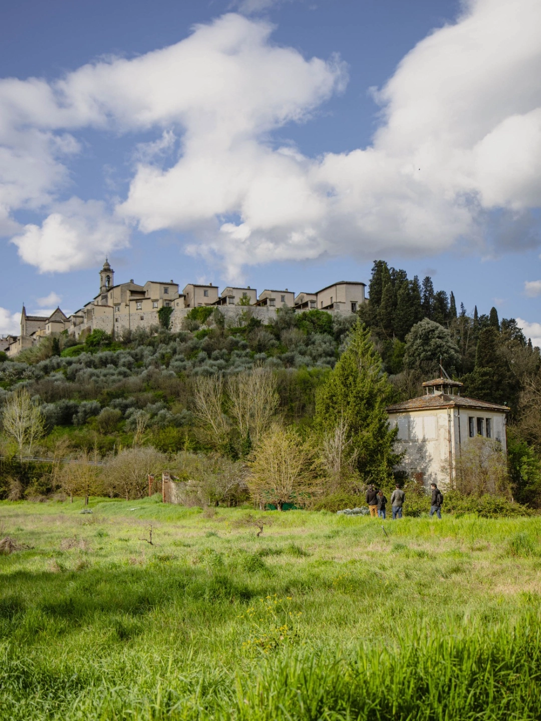 immagine di sfondo 1