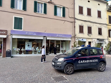 immagine articolo