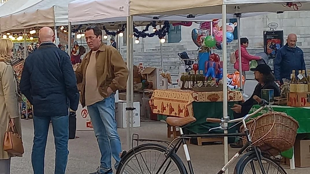 Successo per la fiera di San Martino a Pietrasanta: gastronomia, artigianato e eventi collaterali apprezzati dagli espositori e dal pubblico. Successo per la fiera di San Martino a Pietrasanta: gastronomia, artigianato e eventi collaterali apprezzati dagli espositori e dal pubblico.