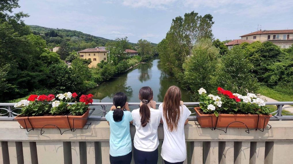 I vasi di gerani che abbelliscono i parapetti del ponte sul Tevere a Città di Castello I vasi di gerani che abbelliscono i parapetti del ponte sul Tevere a Città di Castello