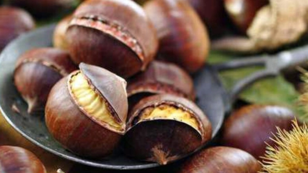 Castagne (foto Ansa) Castagne (foto Ansa)