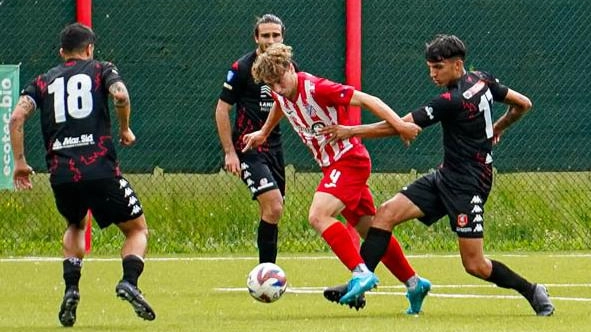 Grosseto sconfitto dal Ghiviborgo: playoff sempre più lontani