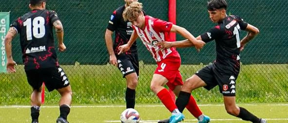 Grosseto sconfitto dal Ghiviborgo: playoff sempre più lontani