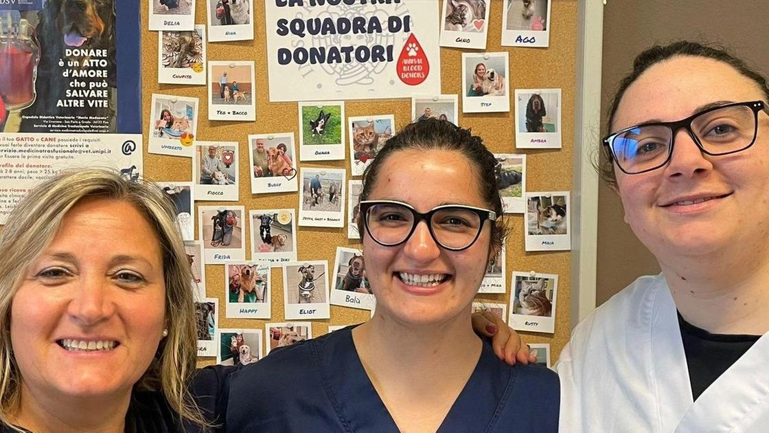Avviata campagna di sensibilizzazione per la donazione di sangue di cani e gatti