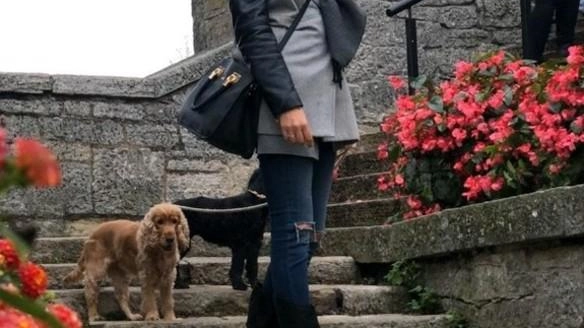 Irene Furiesi, 37 anni, è morta in uno scontro frontale nella galleria del Galluzzo mentre stava andando a lavorare Irene Furiesi, 37 anni, è morta in uno scontro frontale nella galleria del Galluzzo mentre stava andando a lavorare