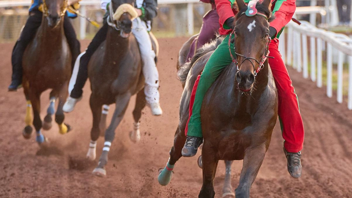 Un’immagine del Palio straordinario di Piancastagnaio dello scorso 4 maggio, vinto da Castello con Giuseppe Zedde e Aiò de Sedini, accoppiata riproposta anche per il Palio del 18 agosto (foto Gabriele Forti) Un’immagine del Palio straordinario di Piancastagnaio dello scorso 4 maggio, vinto da Castello con Giuseppe Zedde e Aiò de Sedini, accoppiata riproposta anche per il Palio del 18 agosto (foto Gabriele Forti)