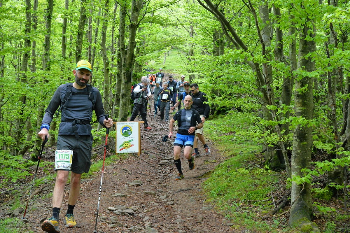 immagine di sfondo 15