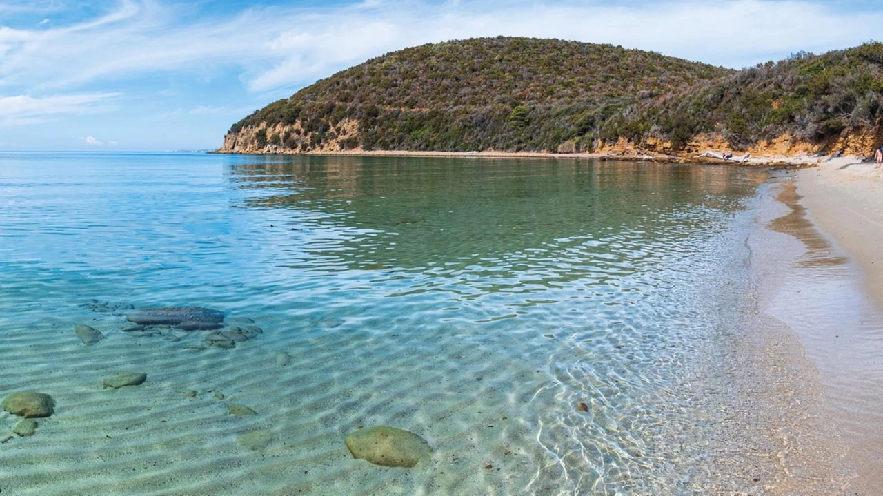 Cala Violina a numero chiuso: quando scatta il divieto e come prenotarsi